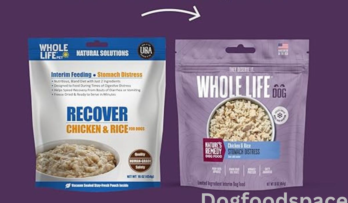 Best Dog Food for Dogs With Bilious Vomiting Syndrome