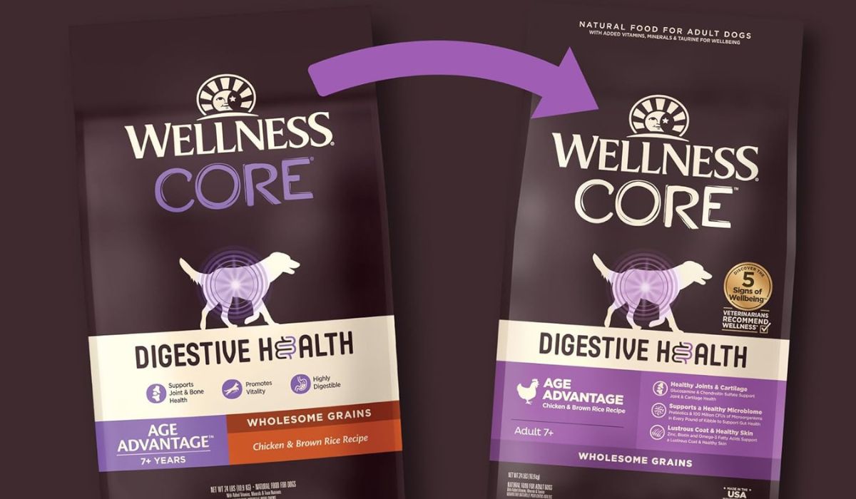 Best Dog Food for Older Dogs With Stomach Issues