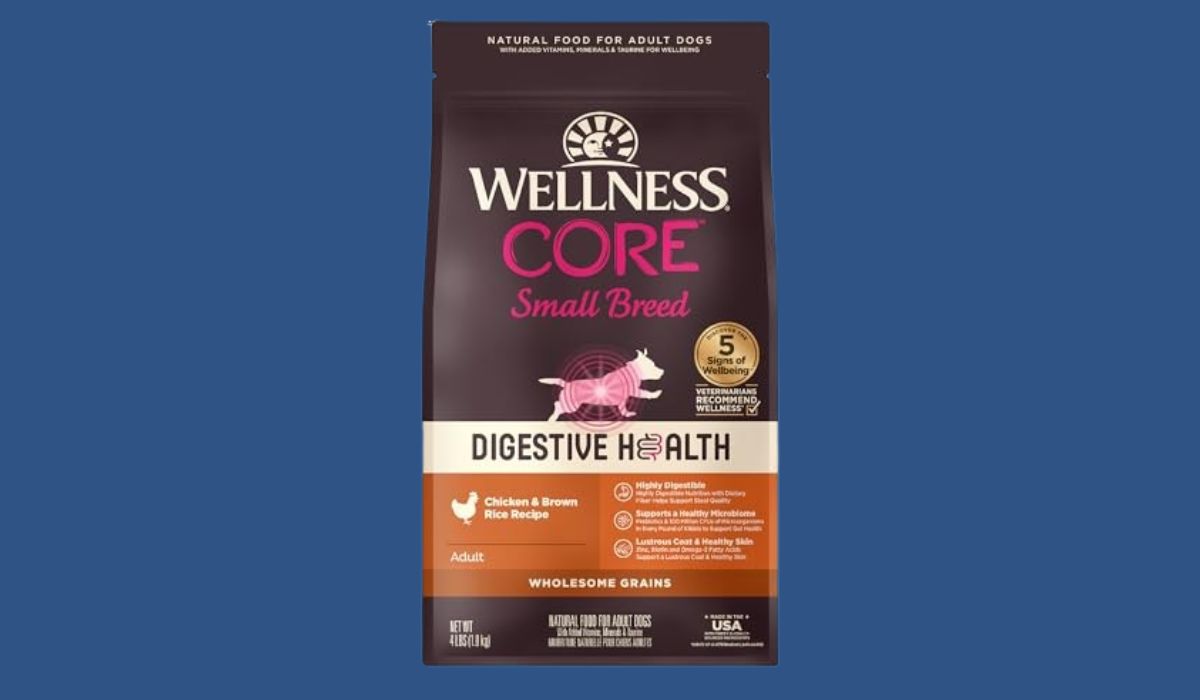 Best Dog Food for Small Dogs With Stomach Issues