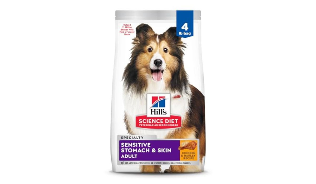 Best Dog Food for Dogs With a Sensitive Stomach