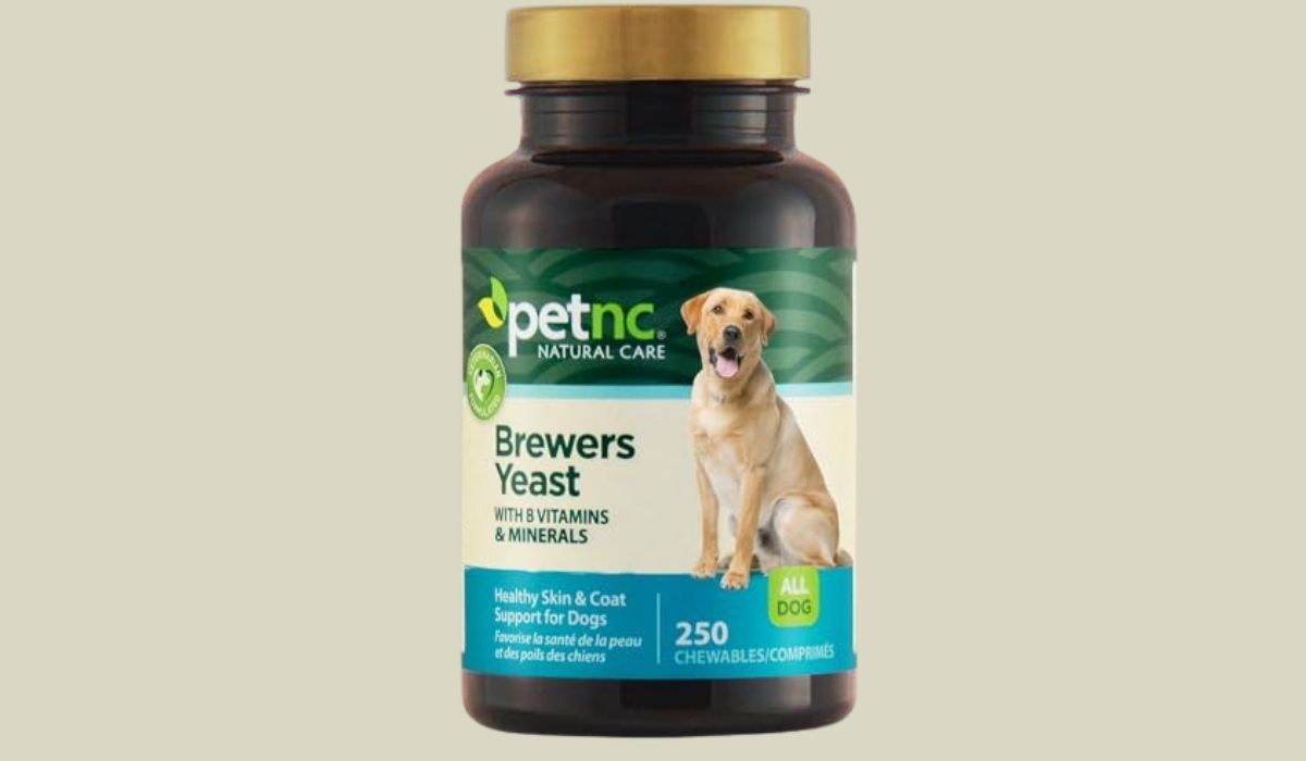 Best Dog Food for Dogs Prone to Yeast Infections: Top 10 Choices