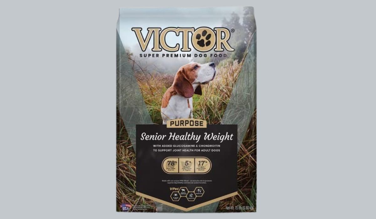 Best Dog Food for Senior Dogs With Joint Problems: Top 7 Picks