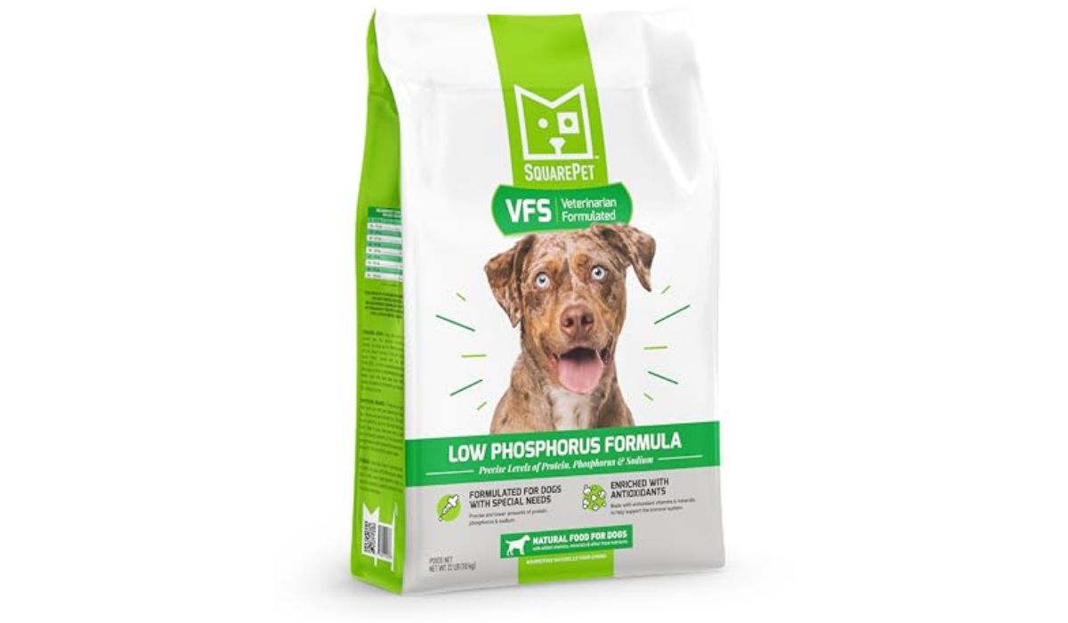 Best Dog Food for Dogs With Allergies And Yeast