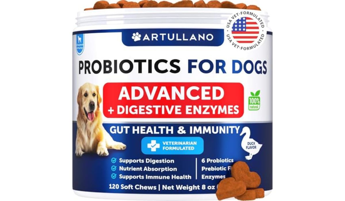 Best Dry Dog Food for Dogs With Kidney Problems