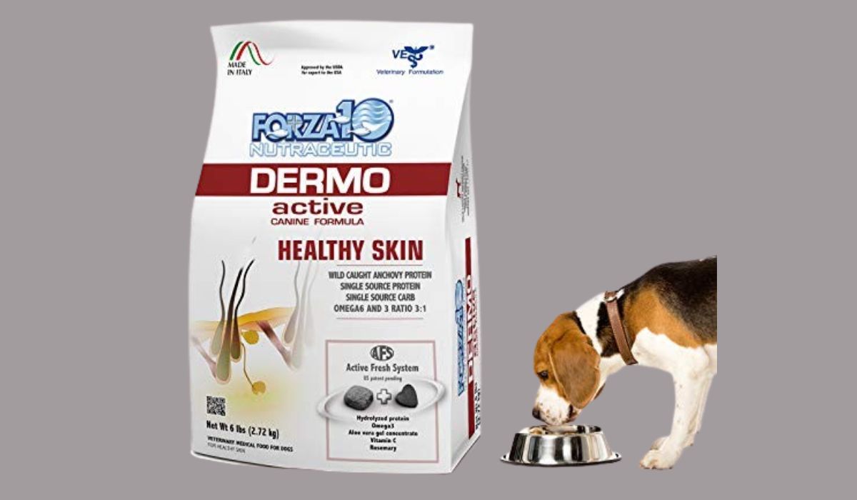 Best Dog Food for Older Dogs With Skin Allergies