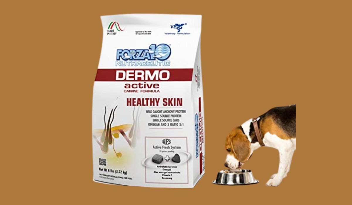 Best Dog Food Brand for Dogs With Skin Allergies