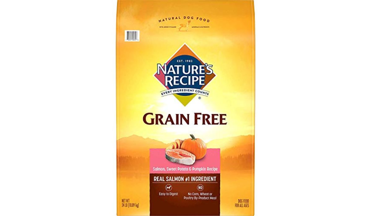 Whats the Best Dog Food for Dogs With Allergies?