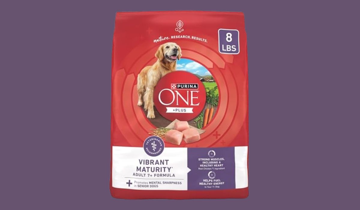 Best Dry Dog Food for Senior Dogs With Allergies: Top 10 Picks!