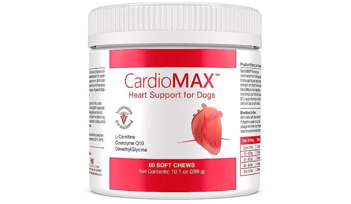 Best Dog Food for Senior Dogs With Heart Issues