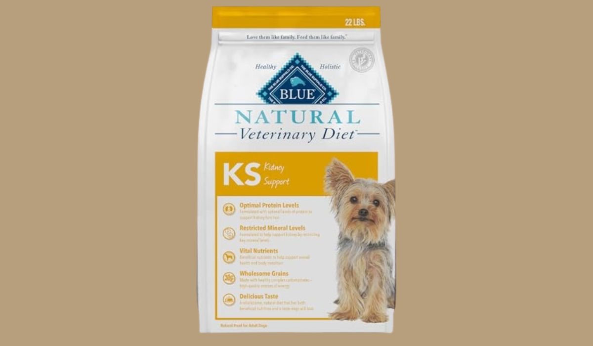 Best Canned Dog Food for Dogs With Kidney Disease