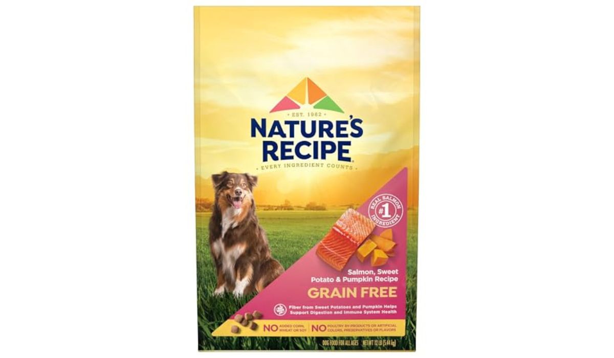 Best Dry Dog Food for Large Dogs With Allergies