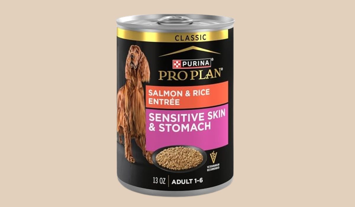 Best Dog Food for Senior Dogs With Sensitive Skin