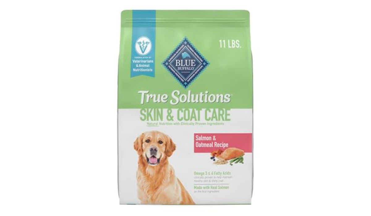 Best Dog Food for Senior Dogs With Heart Murmur: Vet-Recommended