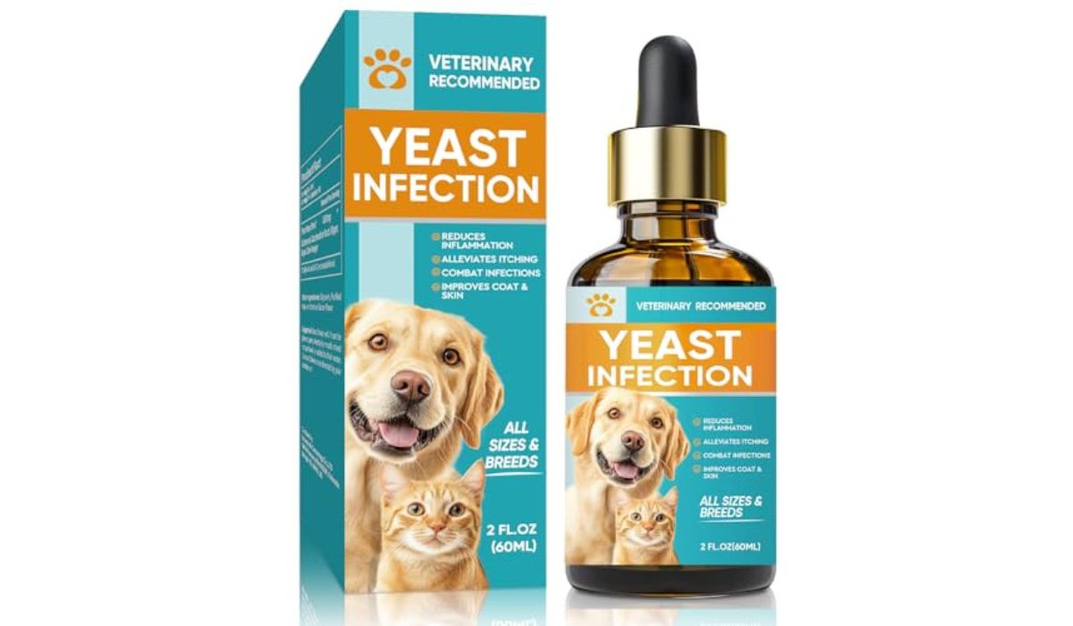 Best Dry Dog Food for Dogs With Yeast Infection: Review