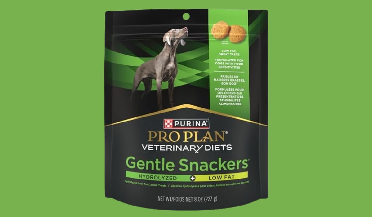 Best Low Fat Dog Food for Dogs With Pancreatitis