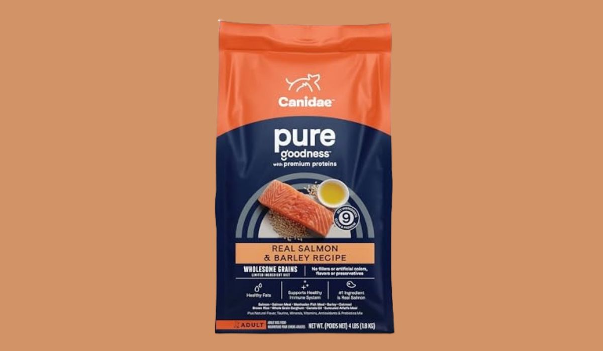 Best Dry Dog Food for Dogs With Chicken Allergies