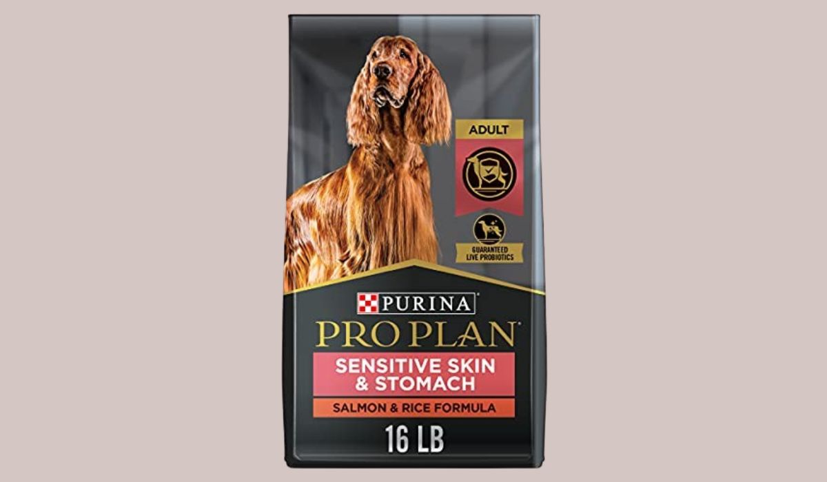 Best Rated Dog Food for Dogs With Skin Allergies