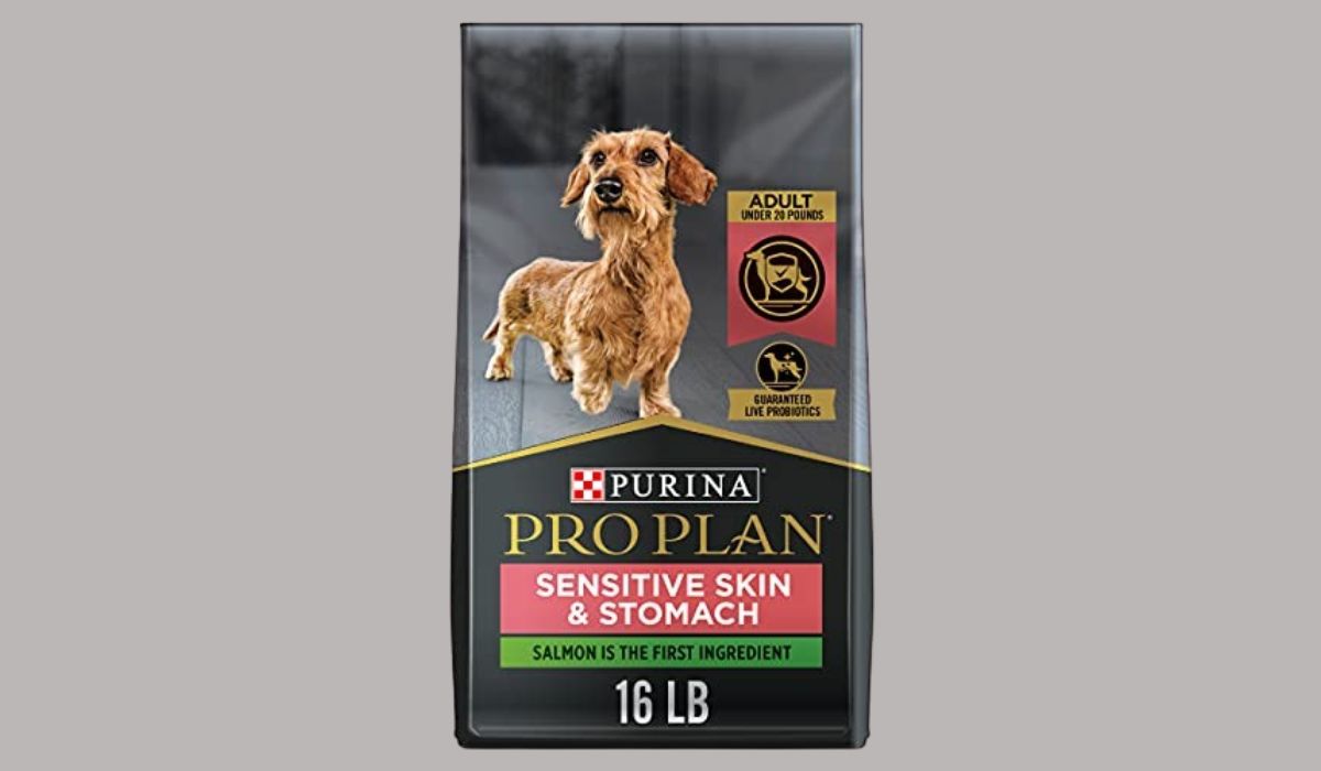 Best Dog Food for Large Dogs With Skin Allergies: Top Picks