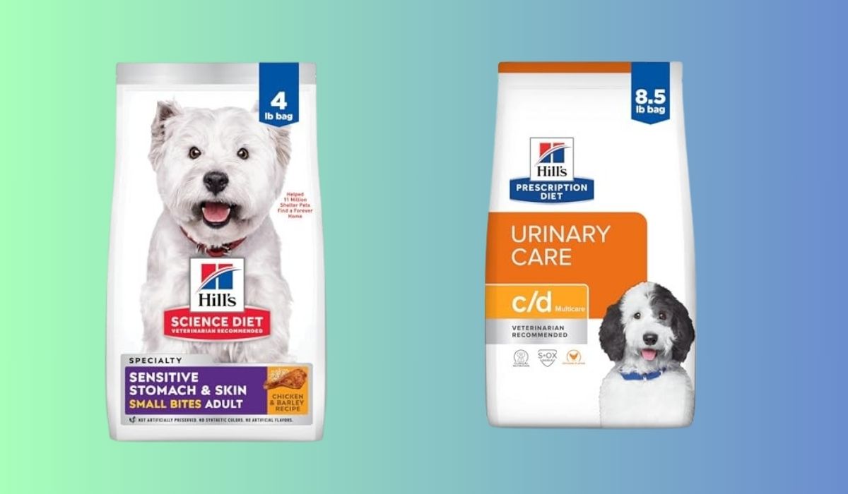 Best Dog Food for Small Dogs With Itchy Skin