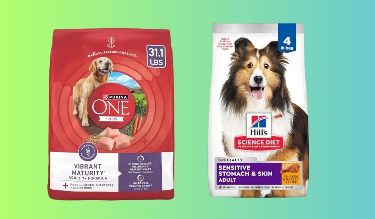 The Best Dog Food for Dogs With Food Allergies