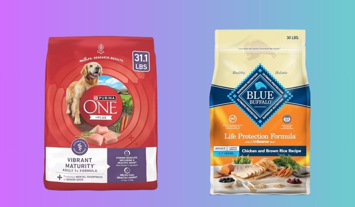 Consumer Reports Best Dry Dog Food for Senior Dogs