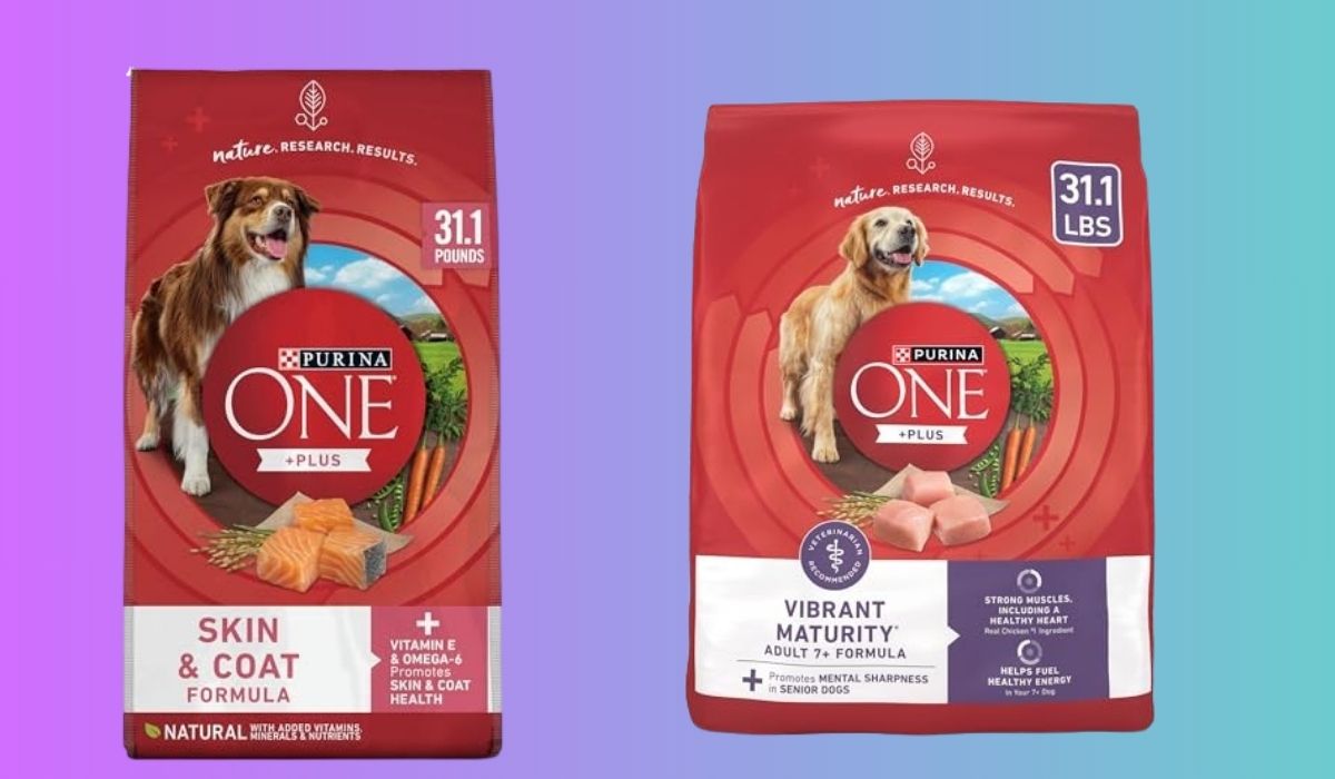 The Best Dog Food for Dogs With Sensitive Stomachs