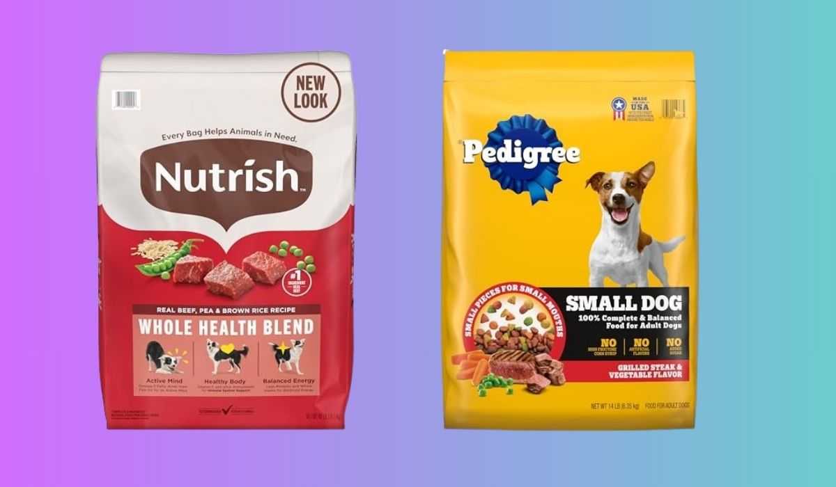 Best Dog Food for Large Senior Dogs With Arthritis