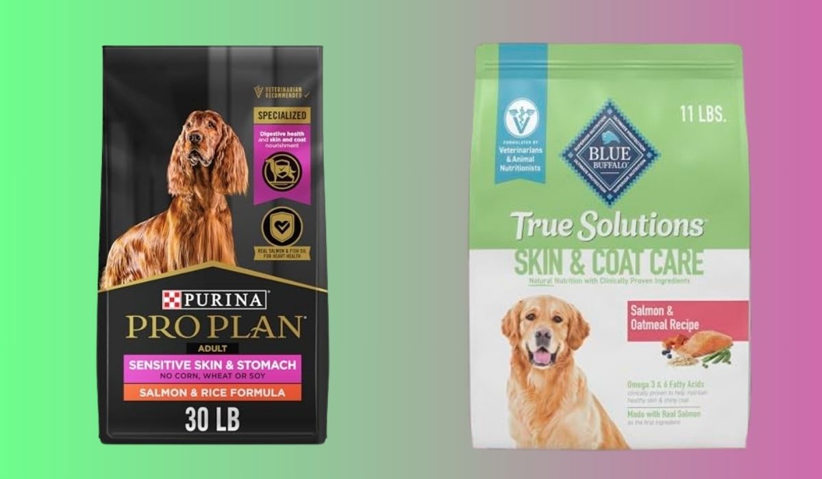 Best Dog Food for Dogs With Severe Skin Allergies