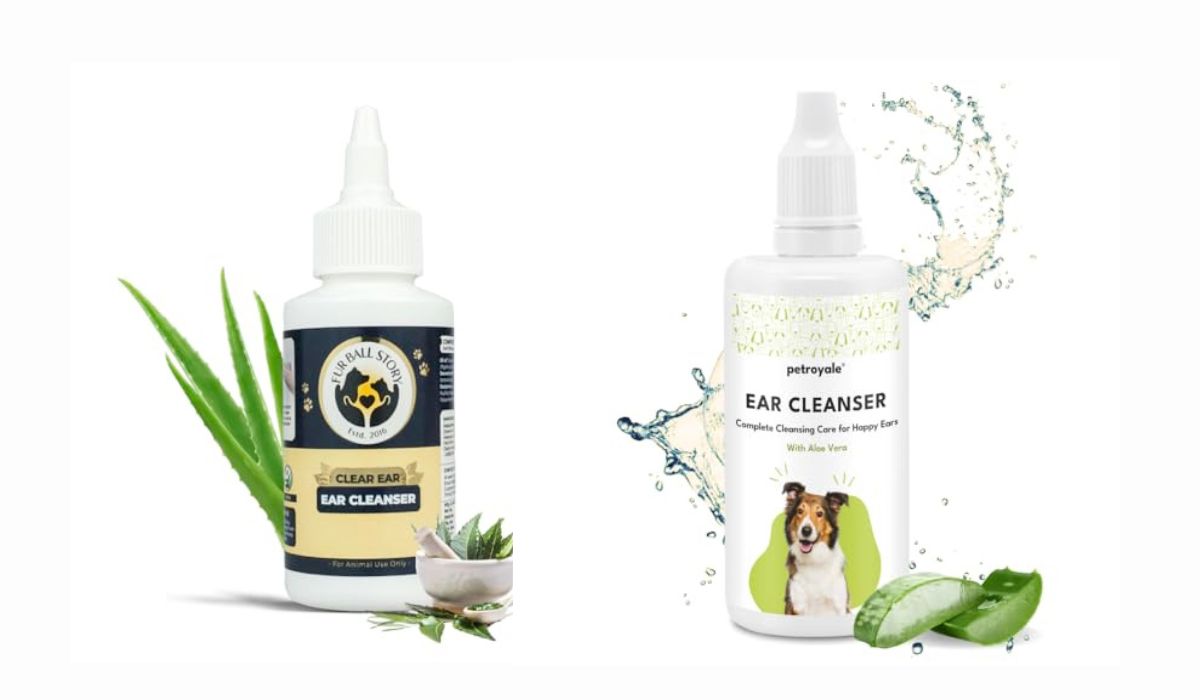 Best Dog Food for Dogs That Get Ear Infections