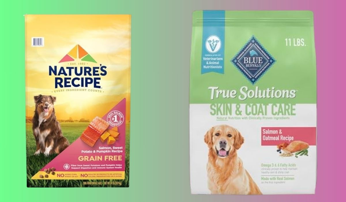 Best Dry Dog Food for Dogs With Food Allergies