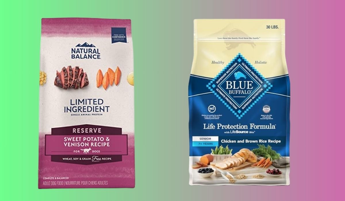 Which Dog Food is Best for Dogs With Allergies