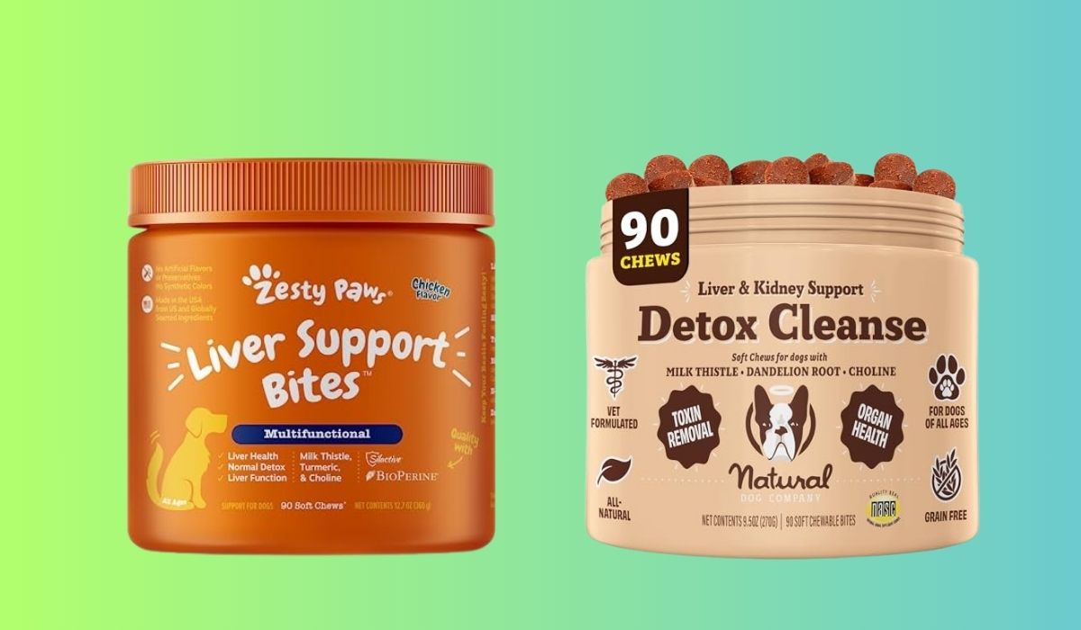 Best Dog Food for Dogs With High Liver Enzymes