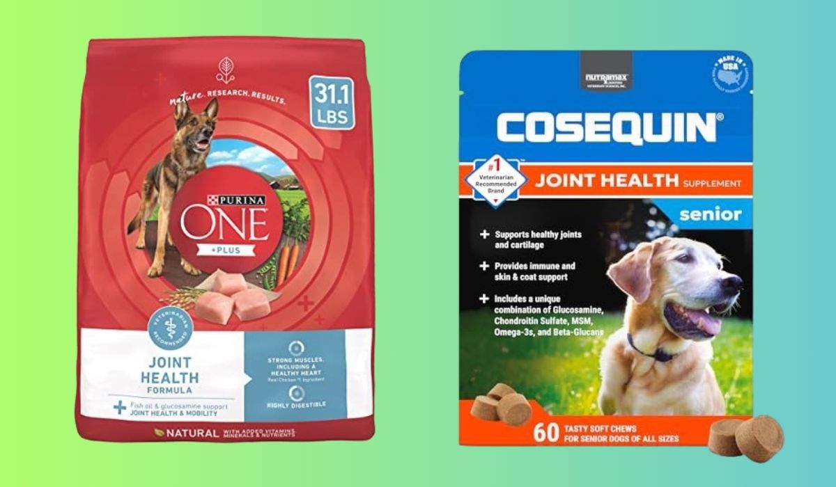Best Dog Food for Older Dogs With Joint Issues