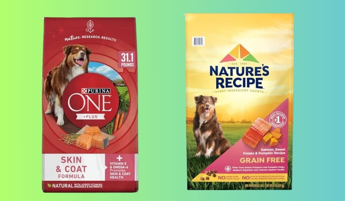 What Dog Food is Best for Dogs With Allergies