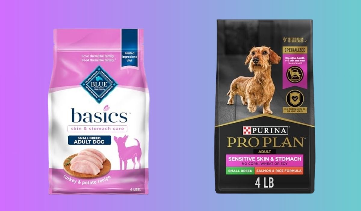 Best Dog Food for Small Dogs With Sensitive Stomach