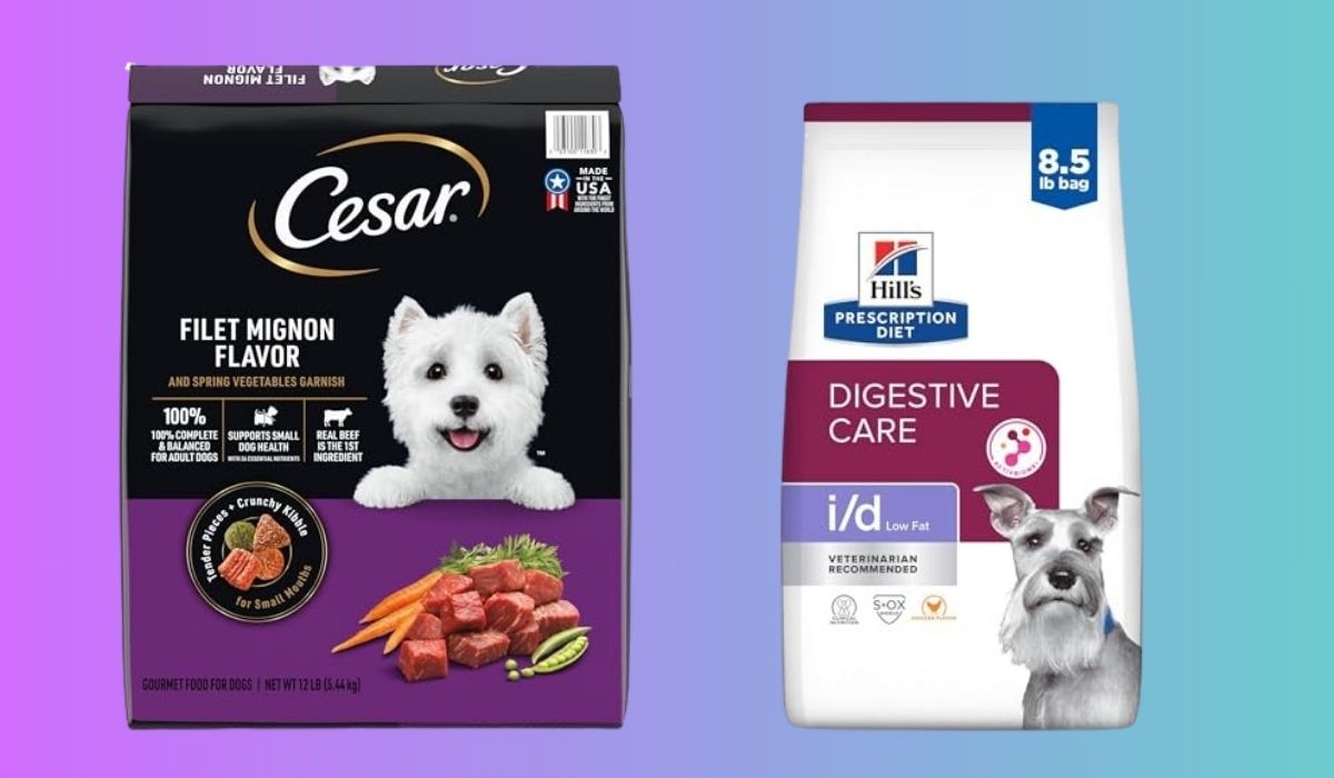 Best Dry Dog Food for Small Dogs With Pancreatitis