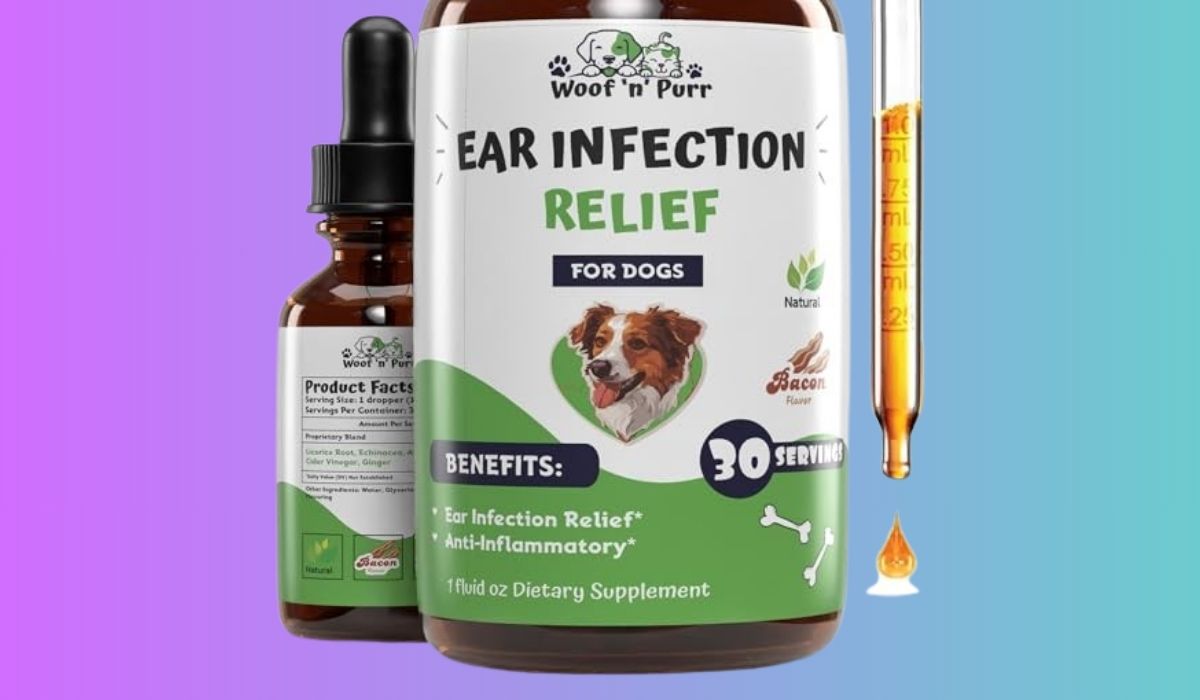 Best Dog Food for Dogs With Chronic Ear Infections