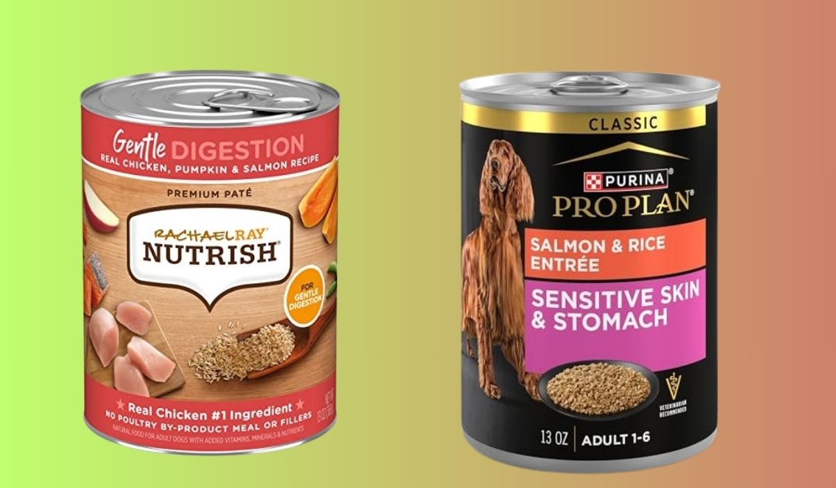 Best Wet Dog Food for Dogs With Sensitive Stomachs