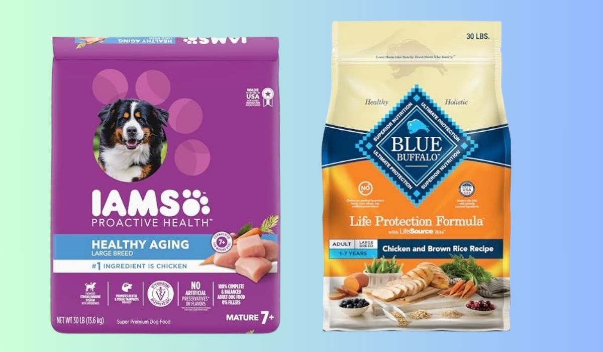 What's the Best Dog Food for Large Breed Dogs