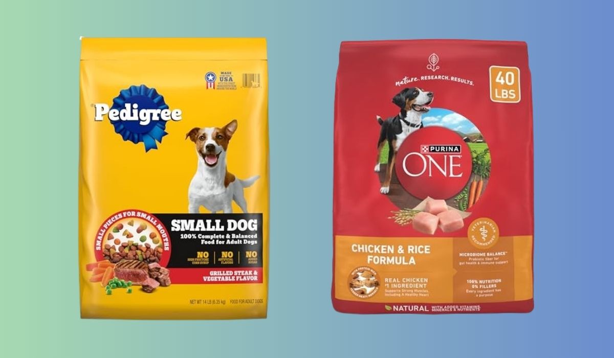 Best Dog Food for Dogs That are Always Hungry
