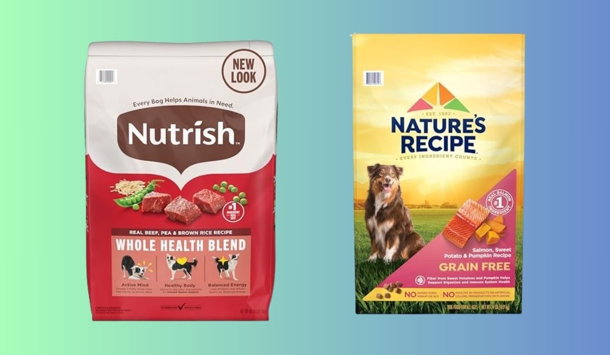 The Best Dry Dog Food for Dogs With Allergies
