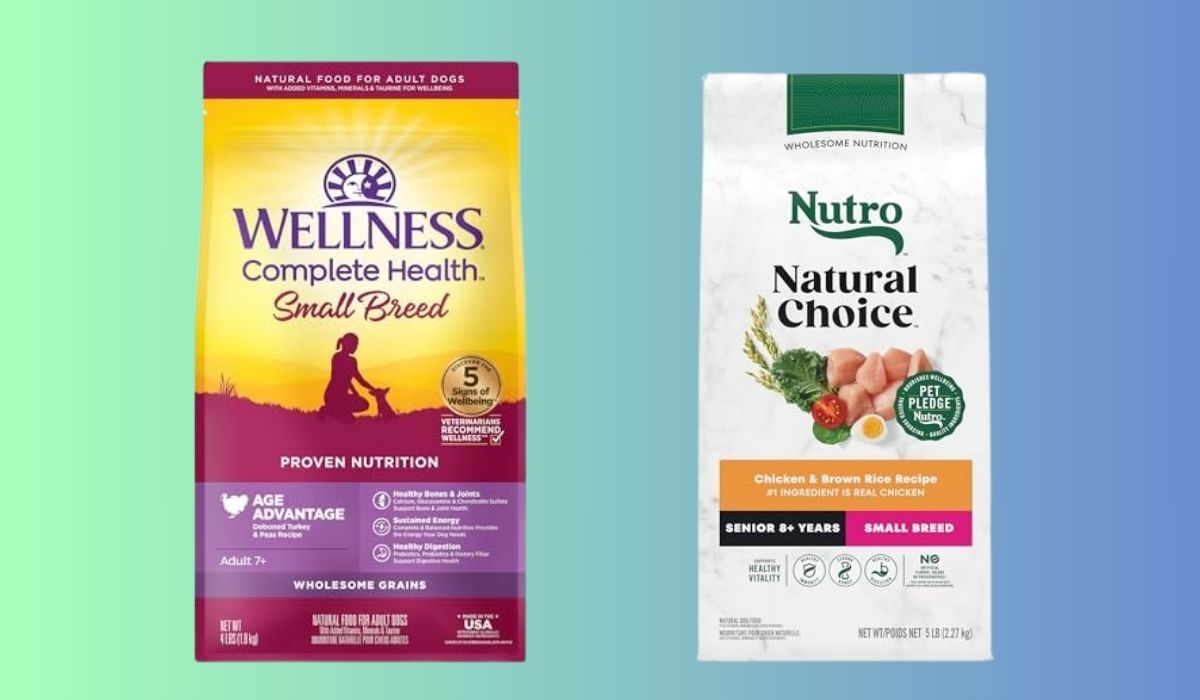 Best Dry Dog Food for Small Breed Senior Dogs