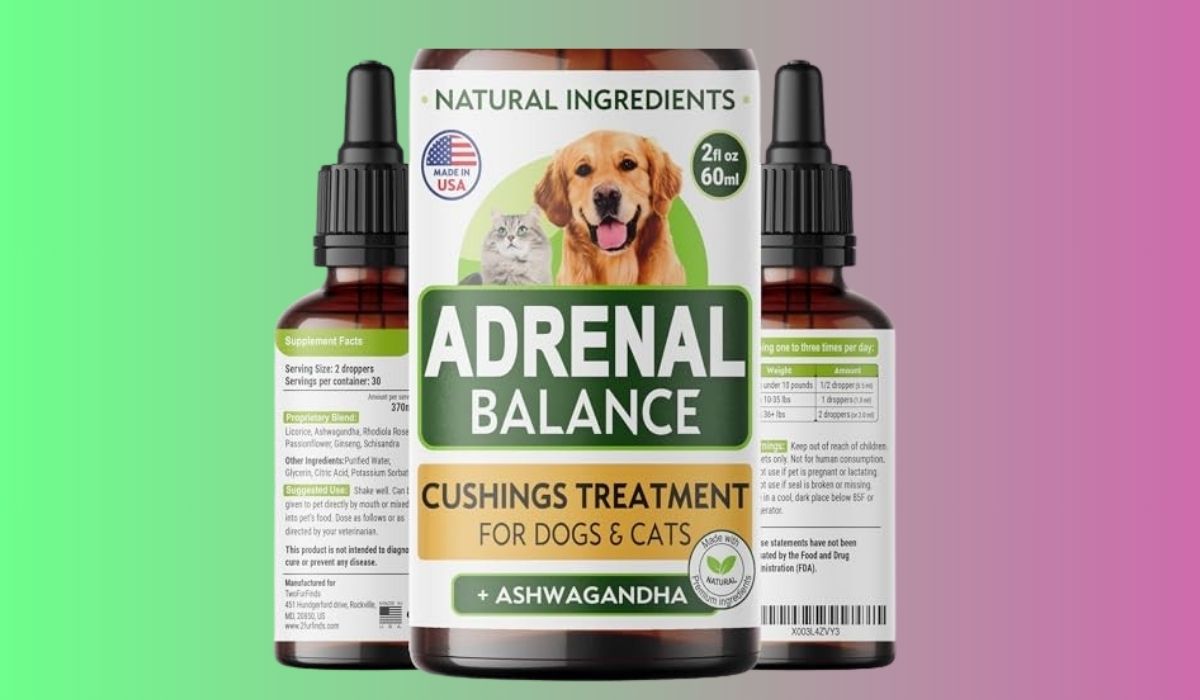 Best Dry Dog Food for Dogs With Cushing's Disease