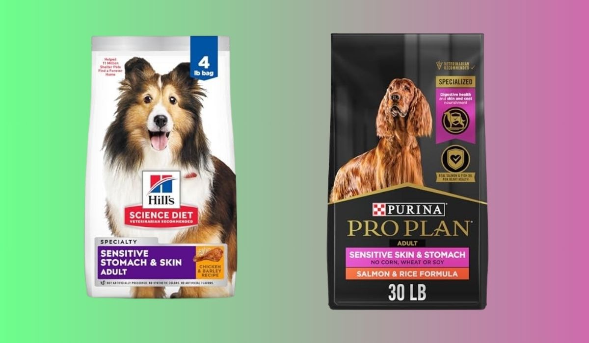 Best Dog Food for Dogs With Sensitive Stomachs UK