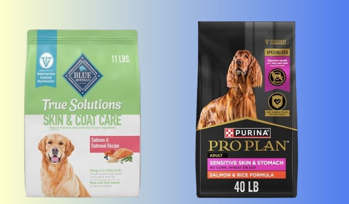 Best Dog Food for Dogs With Mast Cell Tumors