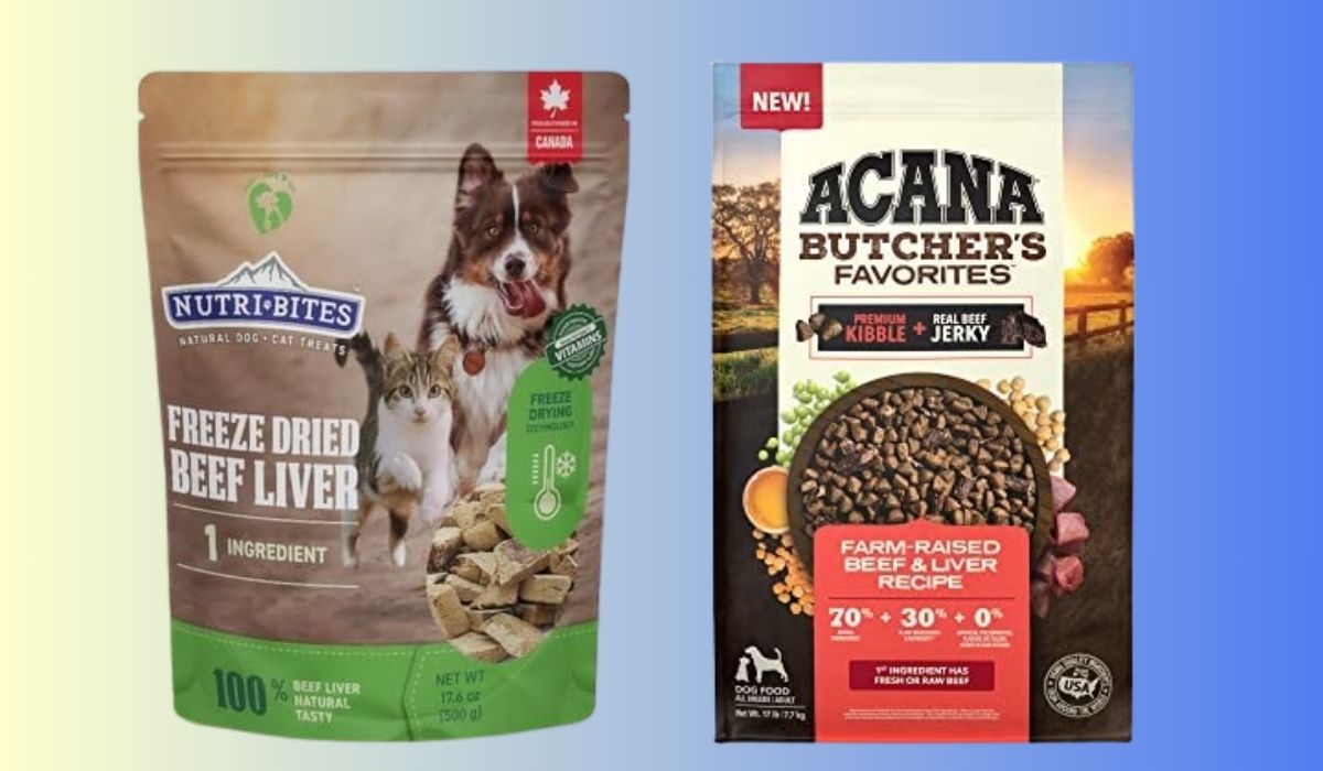 Best Dog Food for Dogs With Liver Problems