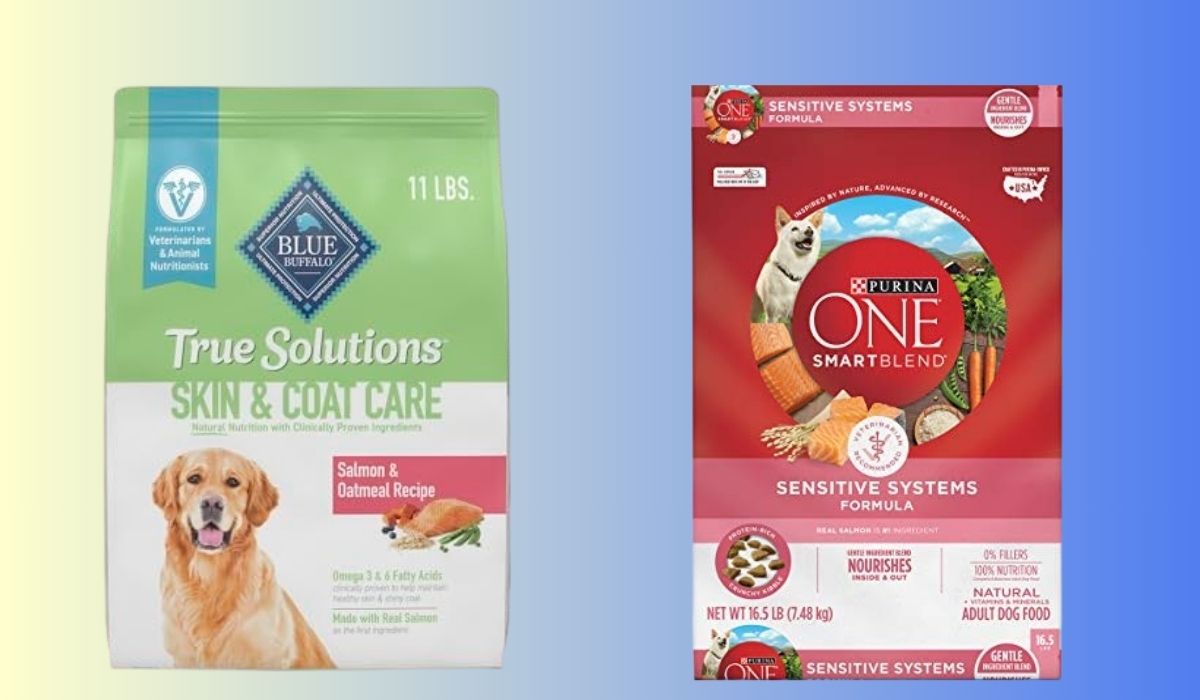 Best Dog Food for Dogs That Have Allergies