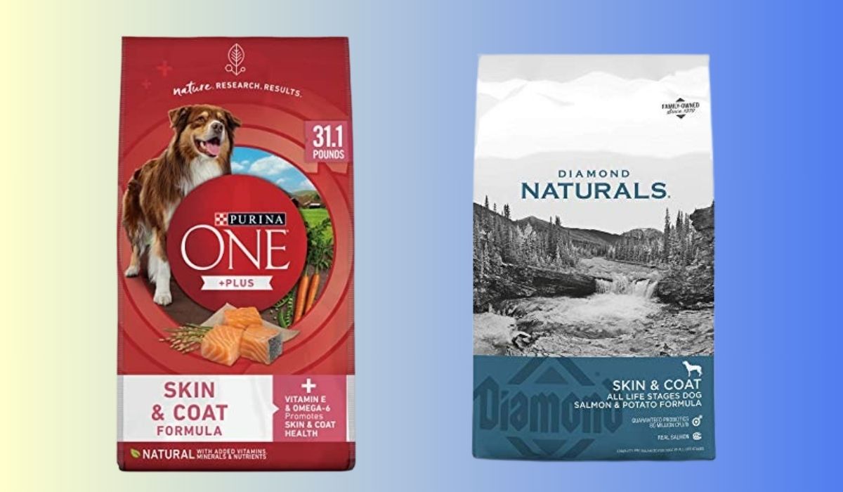 Best Dog Food for Dogs With Skin Allergies