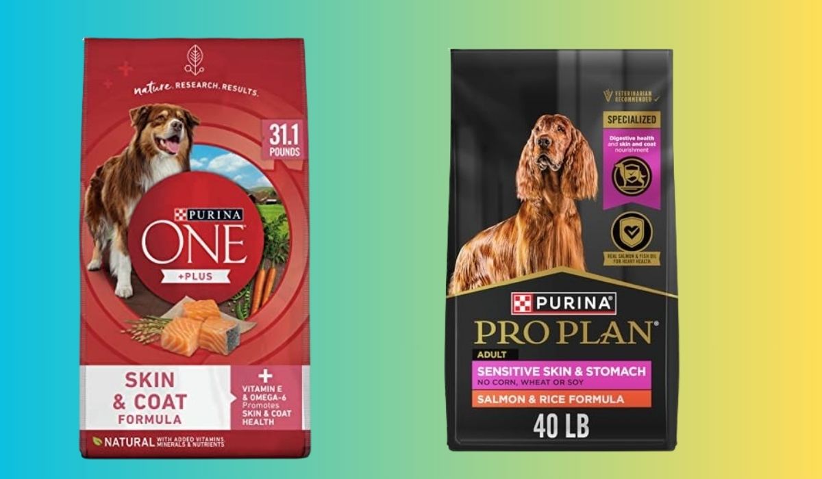 Best Dog Food for Dogs With Sensitive Skin