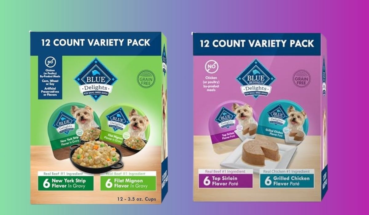 What's the Best Wet Dog Food for Small Dogs